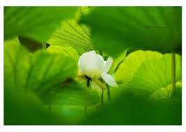 優しさ満点の看護師の私が愚痴やお話お聴きします 100％あなたの味方です！とにかくあなたの心に寄り添います イメージ5