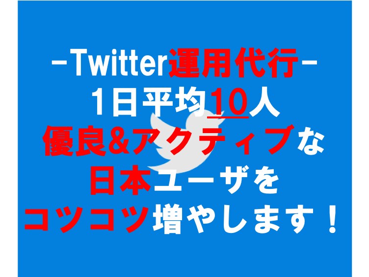 ツイッターの優良な日本ユーザーをコツコツ増やします 手作業で代行！毎日約10人のリアルユーザをフォロワー化。 イメージ1