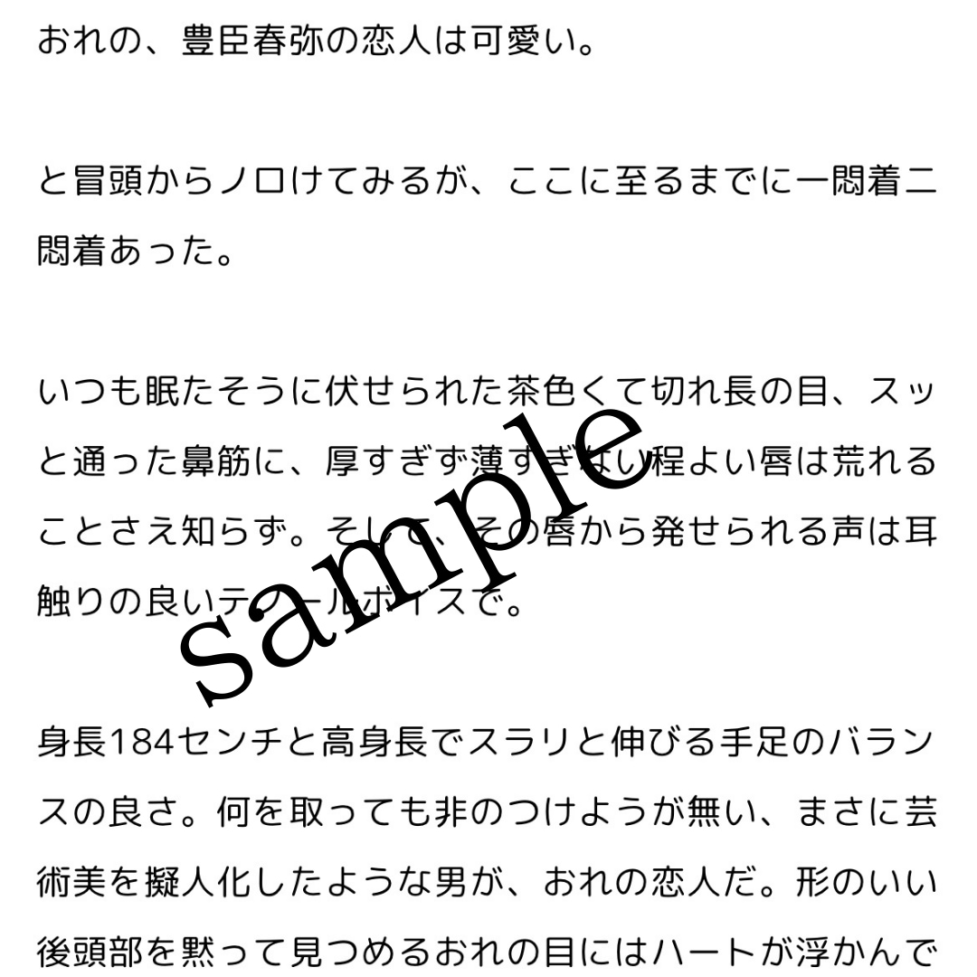 イチャラブするうちの子､うちよそ小説を書きます 【最短3日】希望を大事にした夢あふれる小説を書きます！ イメージ2