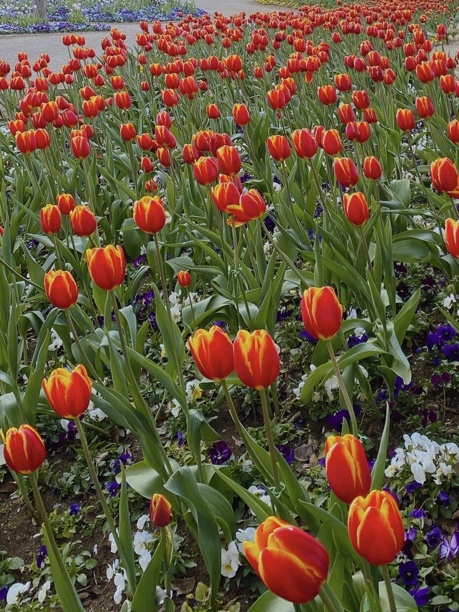癒される景色の写真を販売します 美しい景色や自然やお花がメインです イメージ2