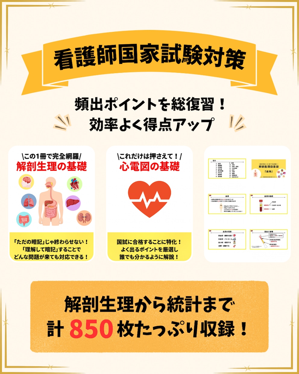 看護師国家試験 | 国試の要点のみを総復習できます 解剖生理の基礎から統計学まで看護師国家試験の範囲を完全網羅！ イメージ1