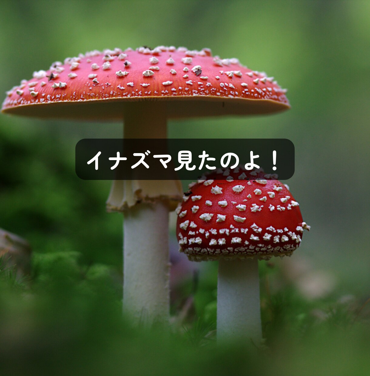 くだらない話・どうでもいい話を喜んで聞きます オチも結論もいりません♪ただ話したい時に イメージ6