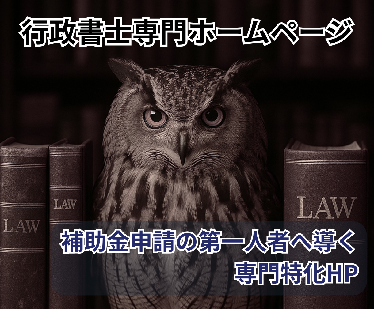 行政書士専門HP｜補助金申請に強い第一人者にします 地域で唯一無二の専門家ポジションを確立するサイト イメージ1