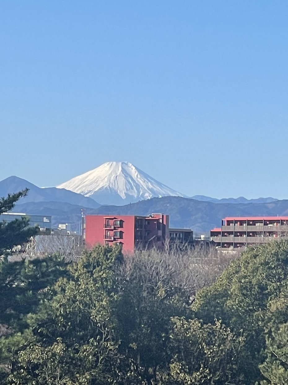 あなたのお話なんでも聞いて肯定します 愚痴や相談何でも！最後には前向きになれる！ イメージ1