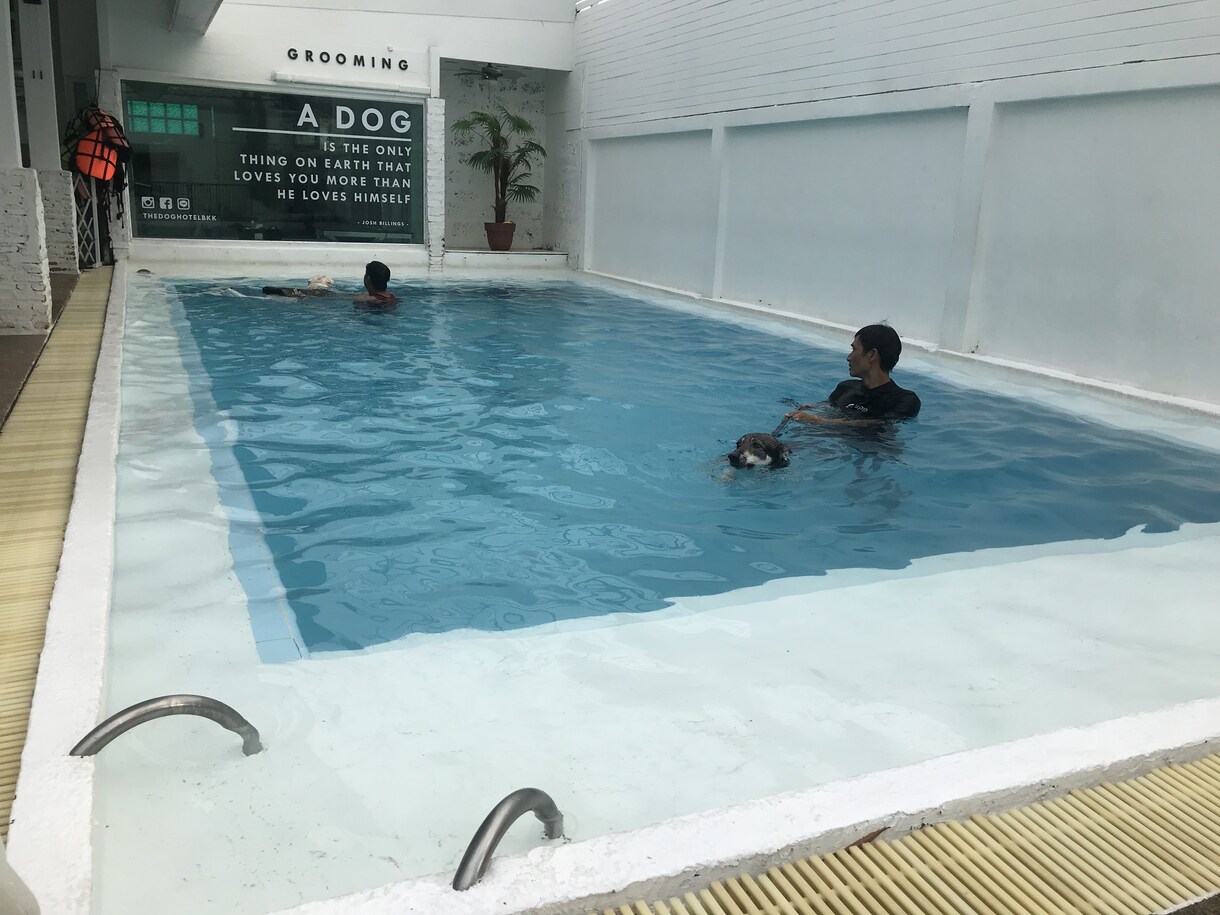 一人で実現するのは難しい夢お手伝いします コロナ中だけどかなえたい夢や希望ををお手伝いします イメージ3