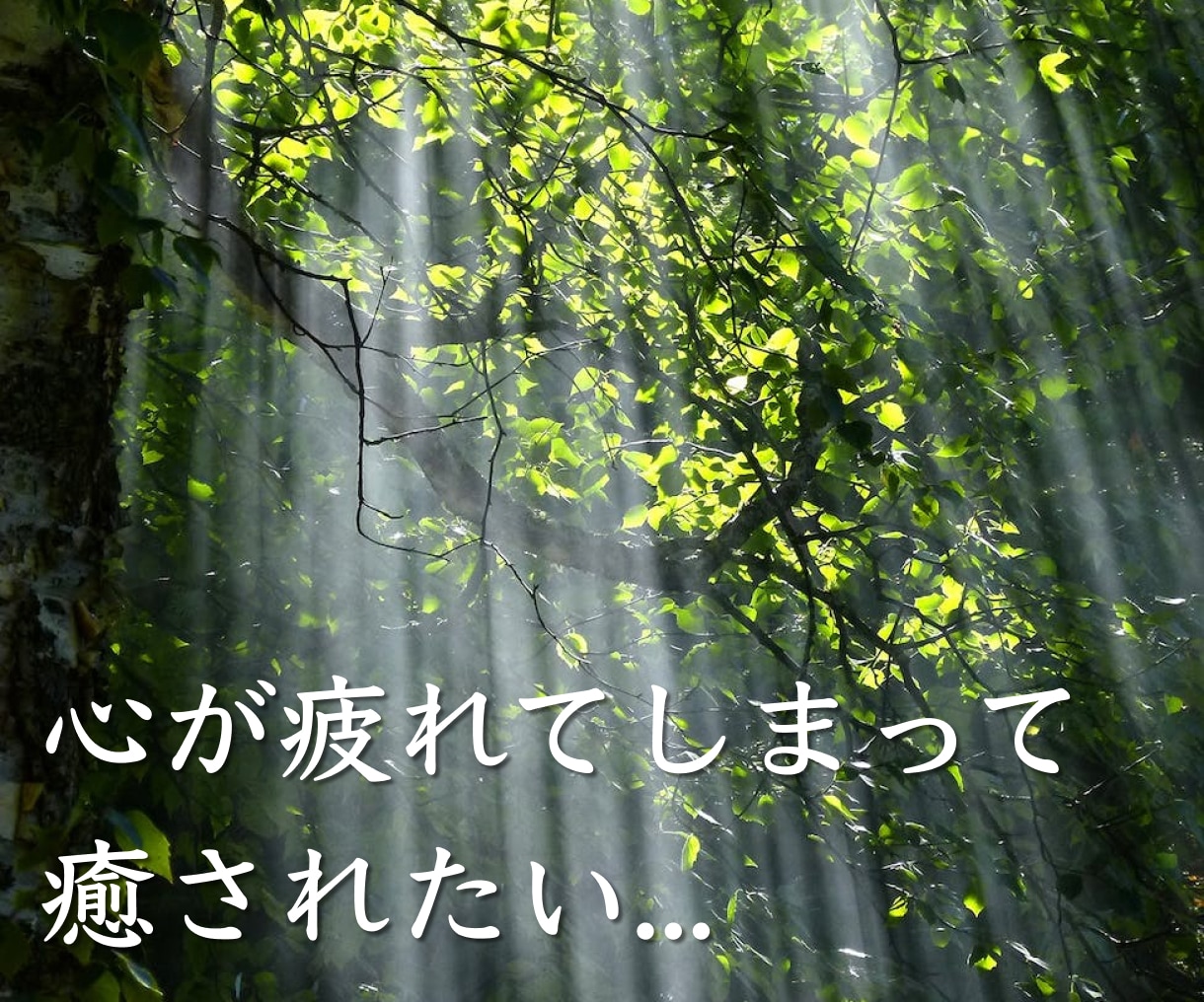 恋愛・仕事・人生⭐️お悩みを深く読み解きます 人に言えない深いお悩み伺います。明るい未来へお導きします。 イメージ3