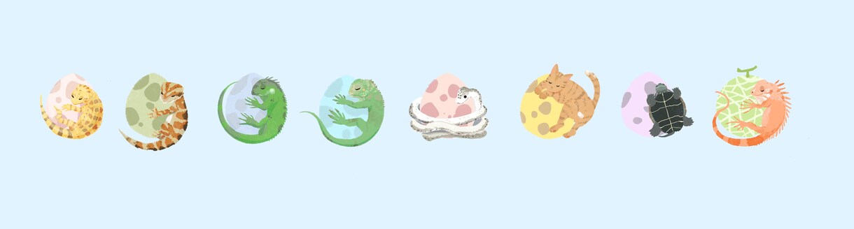 その子の個性を大切にイラスト制作します どんな動物さんでもOK！家族のペットイラスト イメージ8