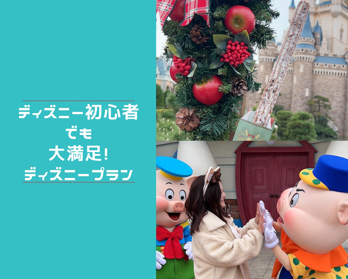 あなただけのディズニープラン相談乗ります あなただけのオリジナルプラン一緒に作成します！ イメージ1