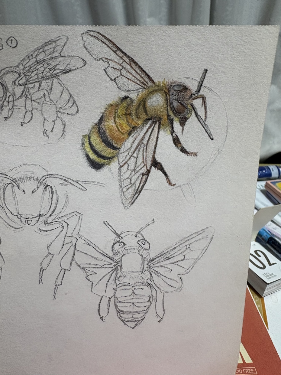 色鉛筆で写真から温かみのある似顔絵を描きます 恐竜も昆虫もペットも動物もOK！ イメージ4