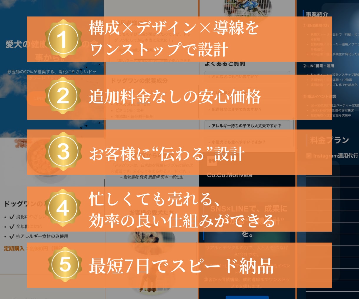 2.8万円/先着3名限定で高品質HP制作します 1名限定】特別価格！！初回28,000円 イメージ2