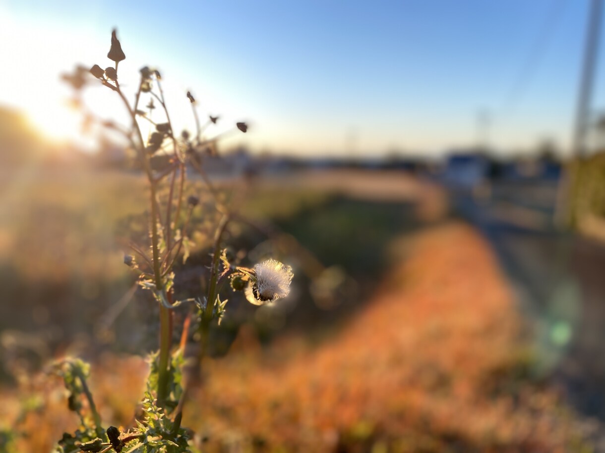 普段撮れないような景色写真を提供します 全てiPhoneで撮らせて頂いています。 イメージ10