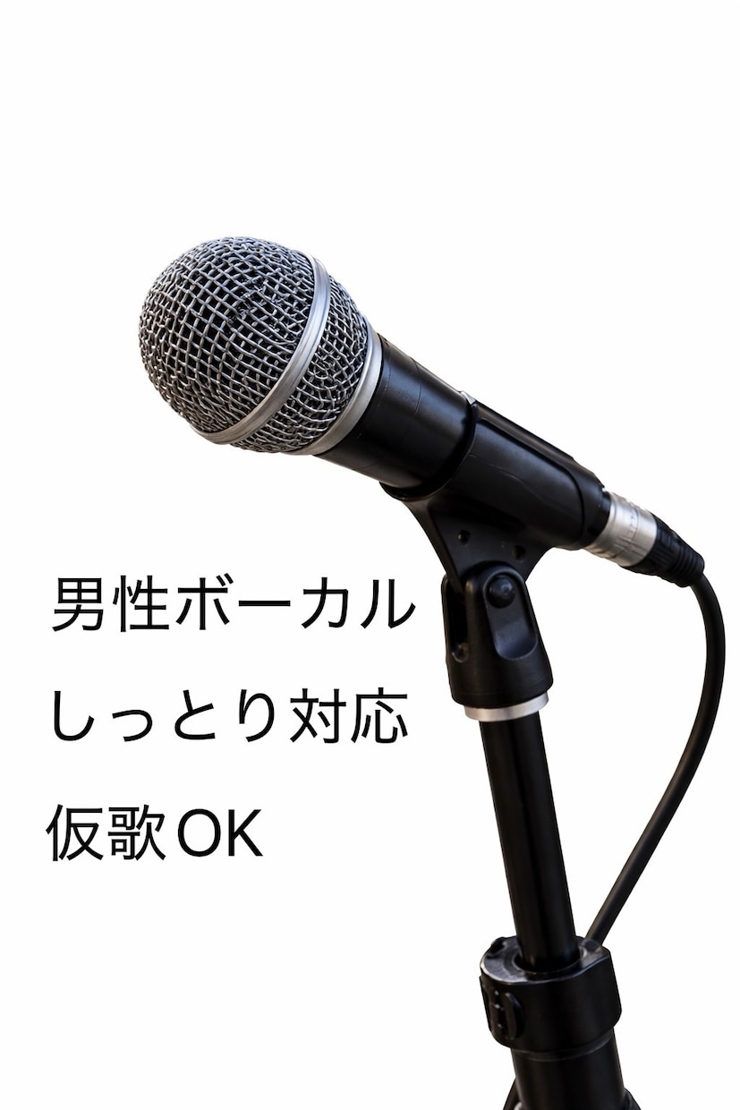 男性ボーカルが仮歌・歌入れします 落ち着いた男性声で丁寧に収録します イメージ1