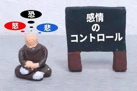 プロが教える✨感情コントロールで人生変わります 行動心理のプロが、人生の操縦方法を優しくレクチャー致します イメージ1