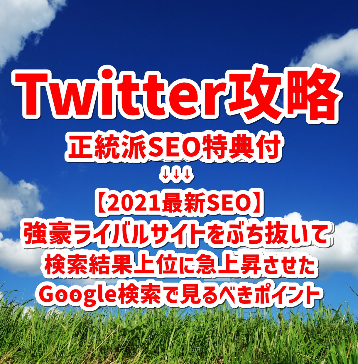 ツイッター攻略＆2021最新正統派SEO特典ざます ブロガー必読！Googleに正解を強制表示させる盲点SEO術 イメージ1