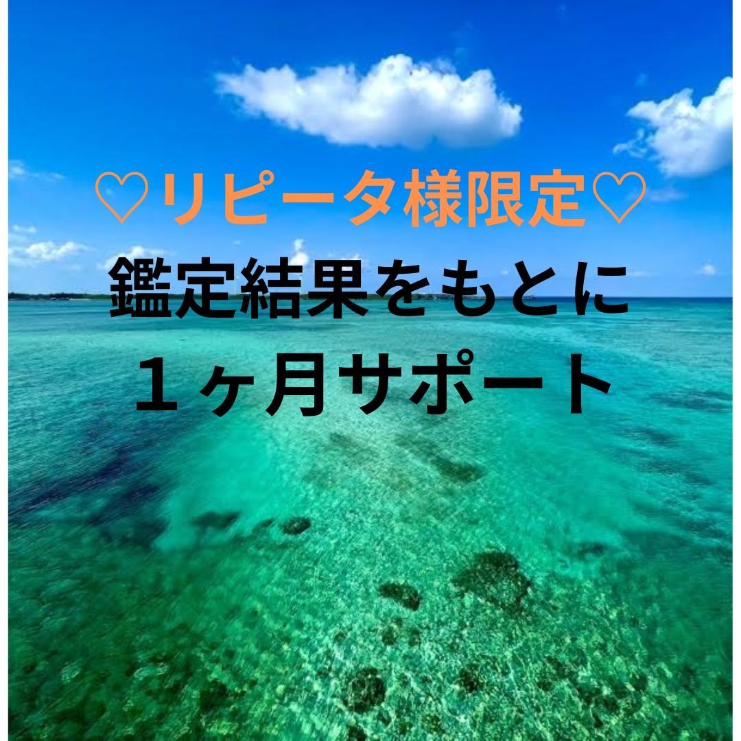 リピーター様限定♡関係を整える1ヶ月サポートします 鑑定結果をもとに１か月お悩みに寄り添いアドバイスします。 イメージ1