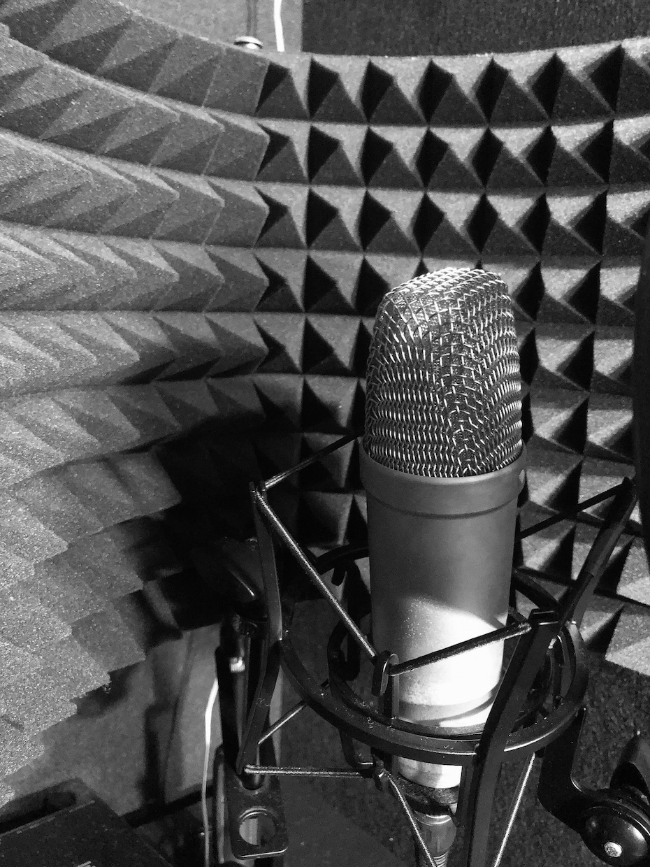 声優の初級レッスンを行います 声優業界を検討中・初心者の方へ向けたレッスンです イメージ1