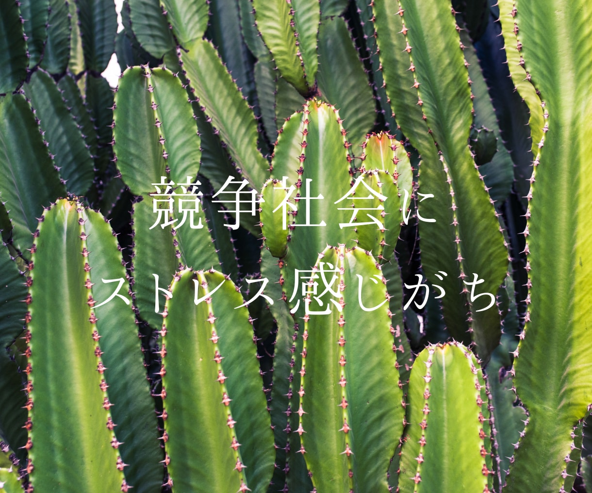 1分からOK！INFPさんのお話をお聴きします どんな話題でもOK！同じくINFPが話し相手になります。 イメージ10