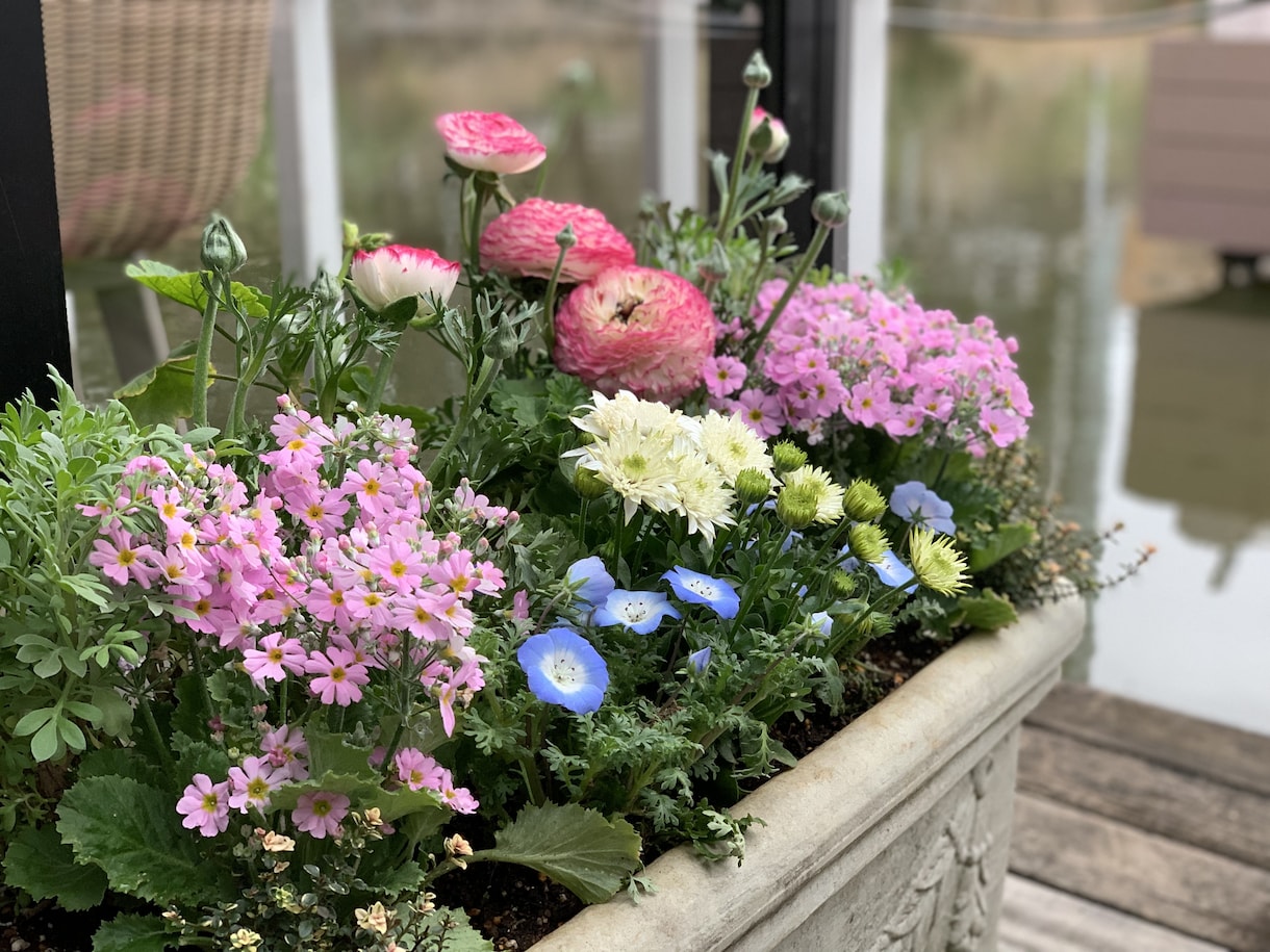現役ガーデナーが花壇・寄せ植え植栽プラン提案します 写真を基に､完成イメージ付きで分かりやすく提案 イメージ10