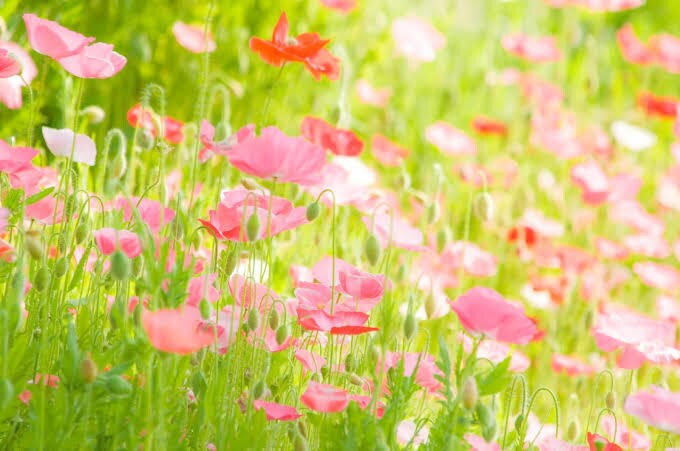 周りに話づらい？うつ･精神のお話聞きます うつ病と付き合っている方、またその家族･友人の方 イメージ3
