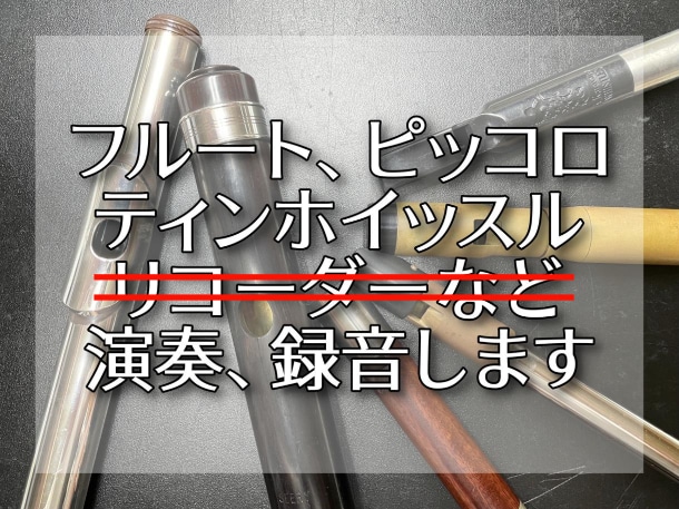 フルート、ティンホイッスルを演奏、録音します 打ち込みでは出せないニュアンスが欲しい方へ イメージ1