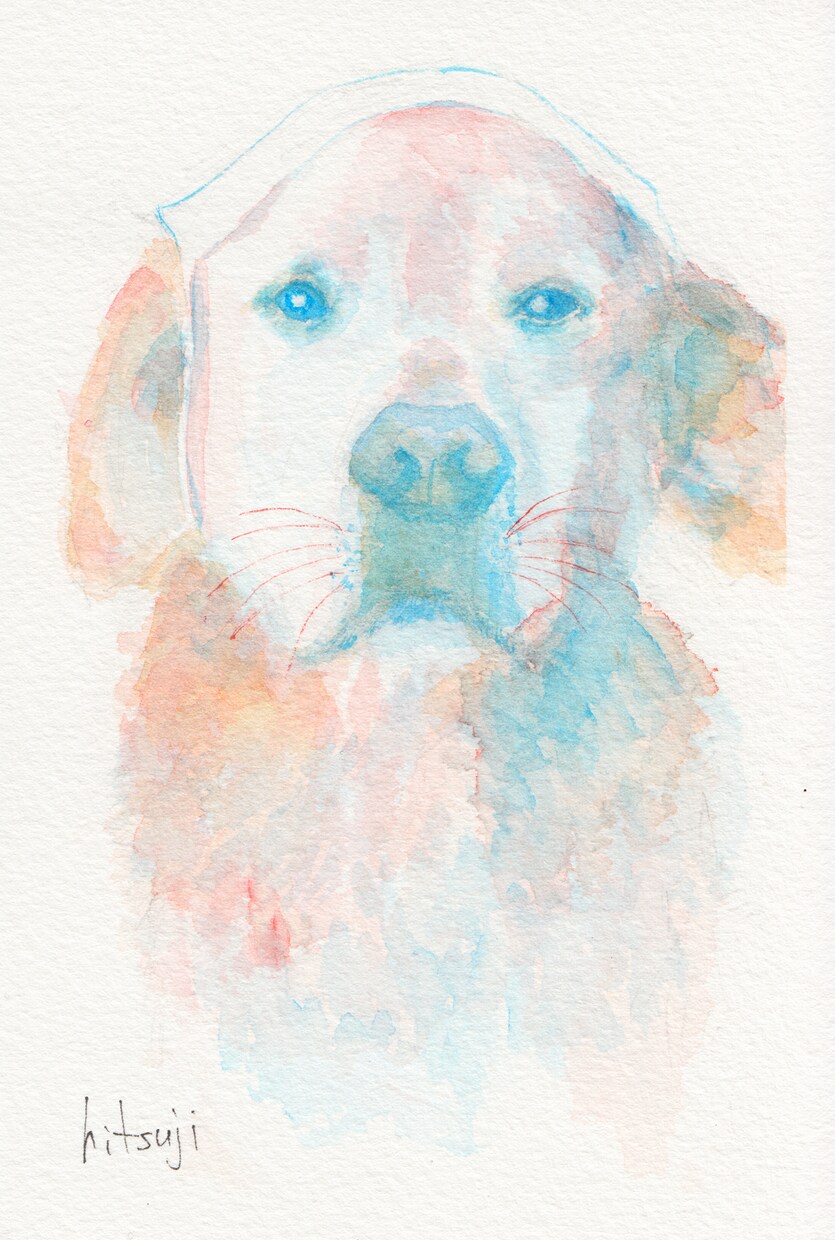 透明水彩で雰囲気のある似顔絵作成致します 透明水彩の特徴を活かした似顔絵で注目されること間違いなし！ イメージ5