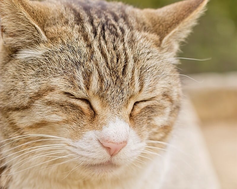 さみしい。誰かとお話したいとき。お話相手になります １分から。どんなお話でも大丈夫です。 イメージ1