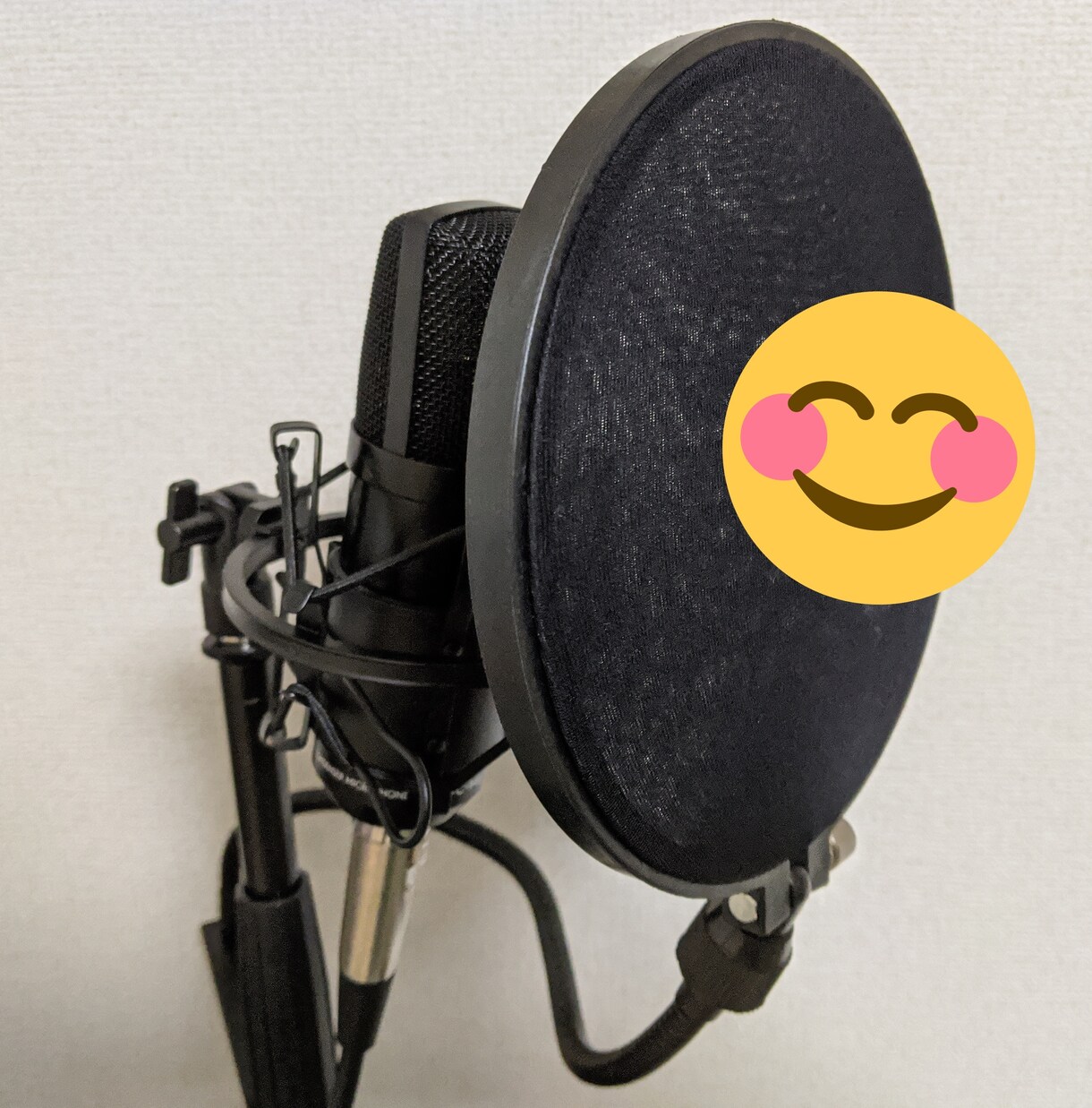 女声●誠実で丁寧なナレーションをお届けします 収録環境完備！アナウンサー実績あり。丁寧な言葉でお伝えします イメージ1