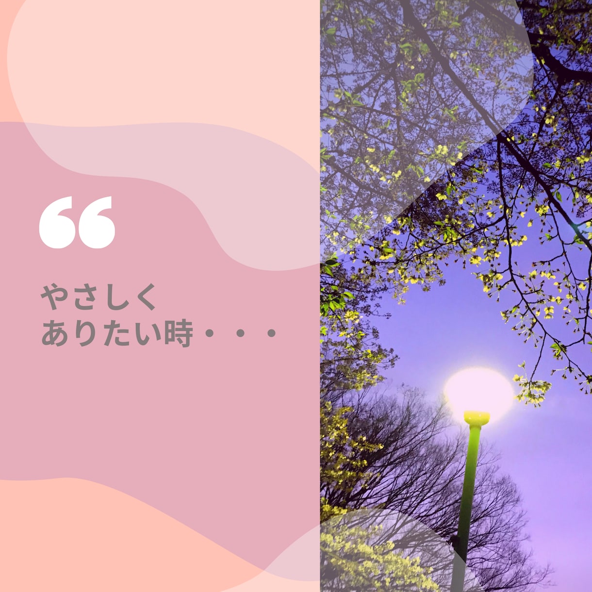 コーチング　頑張る女の子を応援します 自分を好きになって、内面からより綺麗なあなたへ イメージ3