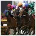 的中率「50％以上」の競馬予想データ、販売します 的中率50％以上、万馬券毎週的中♪  運営実績10年の予想だ イメージ1