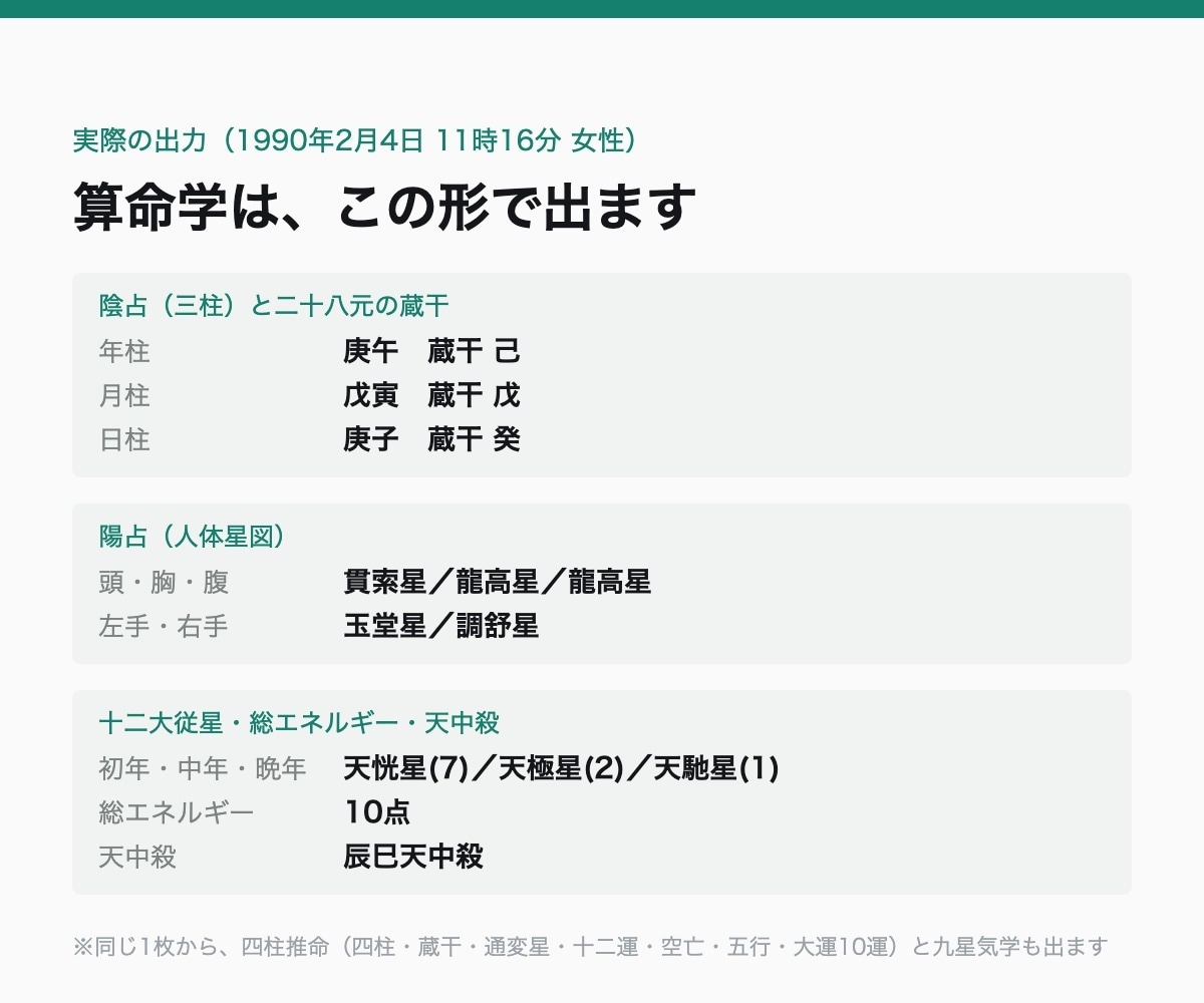 算命学の陰占・陽占・人体星図を自動で出します 天中殺・十二大従星まで1枚に｜Excel不要・スマホ可 イメージ2