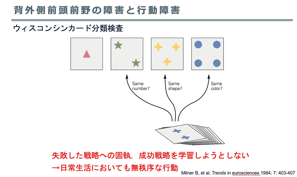リハビリ，看護向けのパワーポイント作成承ります 循環器，サルコペニア，脳卒中，リハビリテーション，呼吸 イメージ5
