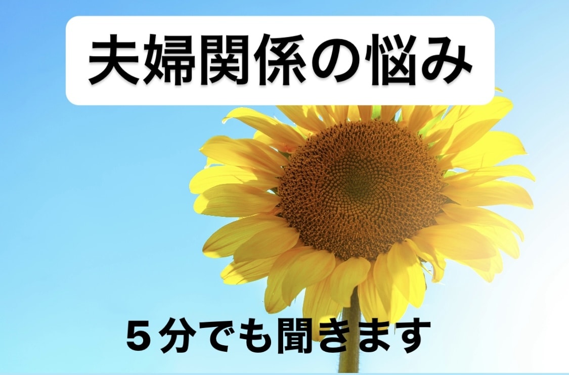 誰にも言えない夫婦関係の悩み✅　5分でも聞きます 不倫・浮気・セックスレス・モラハラ・借金　何でも相談乗ります イメージ2