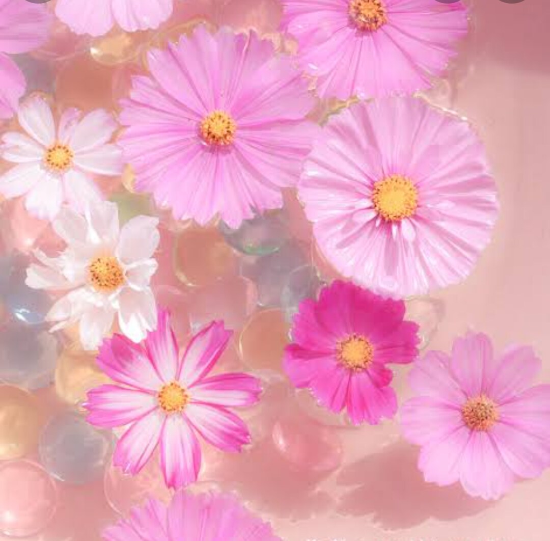 霊視　愛しい人のお気持ち鑑定♪復縁♪縁結♪致します 全☆霊視☆恋心☆恋愛鑑定☆思念伝達☆祈願込み☆鑑定致します☆ イメージ9