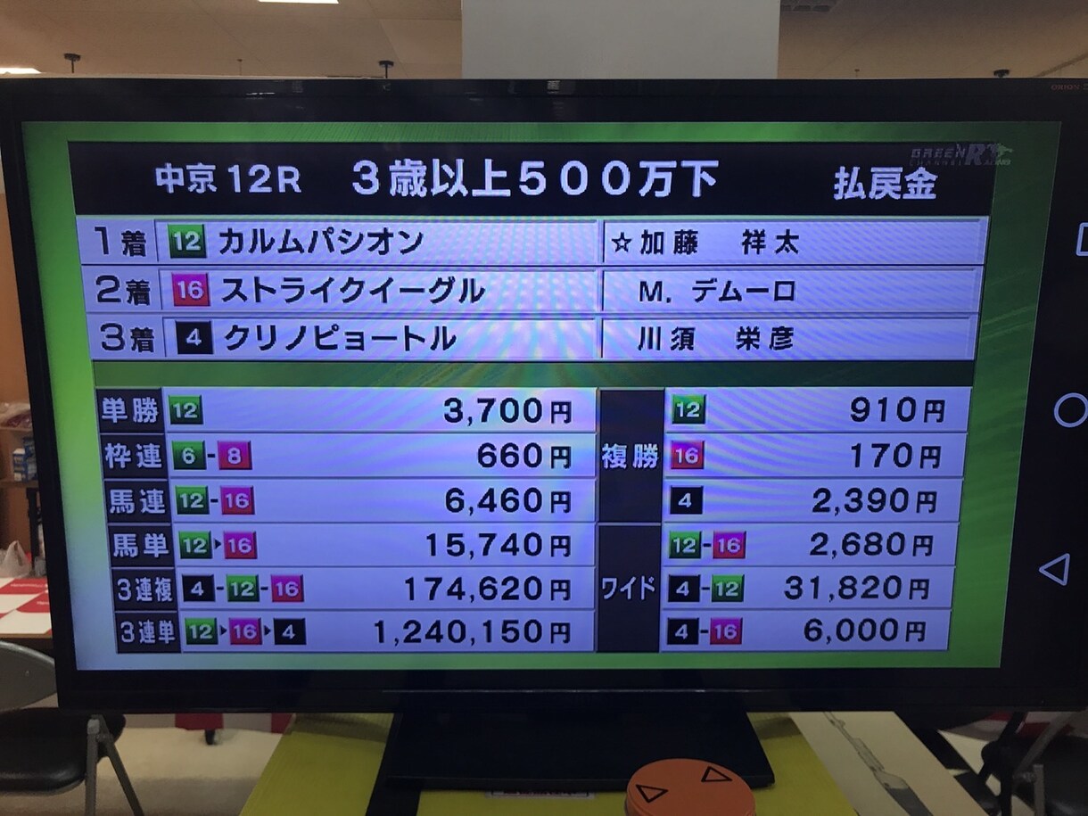 中央競馬で必ず3着までにくる馬1頭おしえます 軸馬を決めれない人にオススメです イメージ1