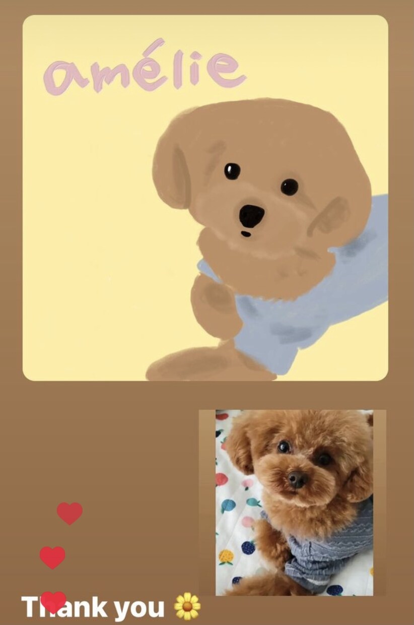 写真をもとに、世界に一枚のペット似顔絵を描きます 温かみのあるリラックス感溢れるイラスト イメージ9