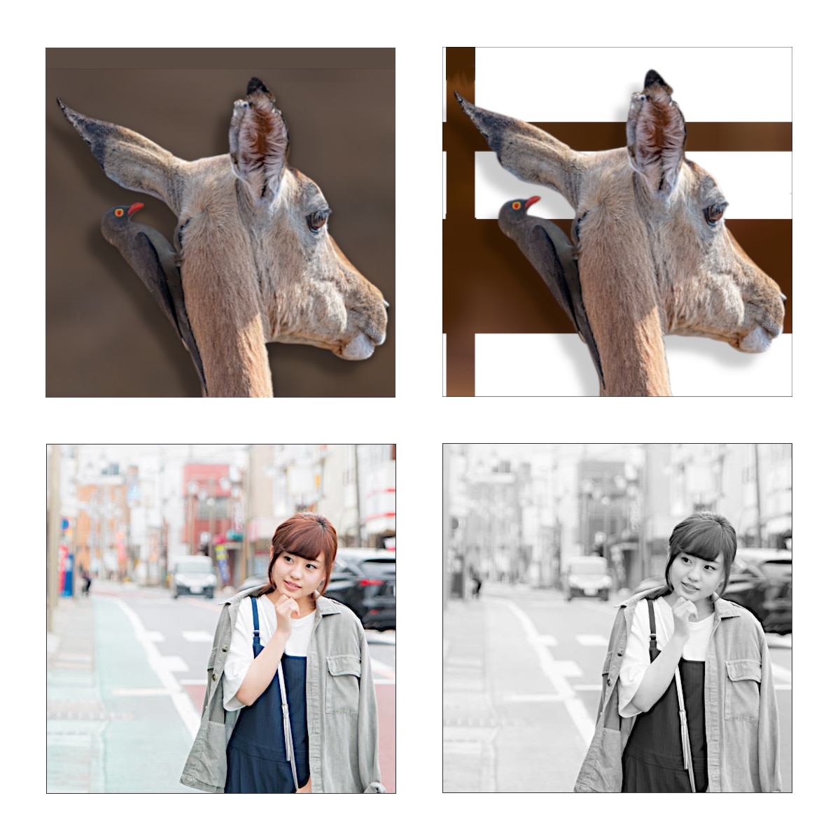写真や画像の簡単な加工と編集をいたします ブログやホームページなどにいかがでしょうか イメージ5