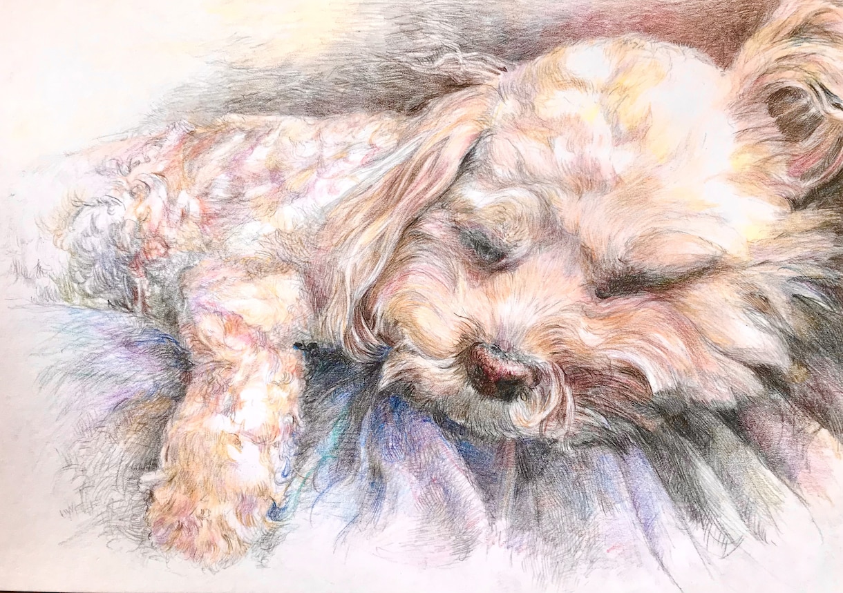 小説や絵本の手描きの挿絵を制作します 温もりがある手描きイラストはいかが？多様なジャンルに対応 イメージ7