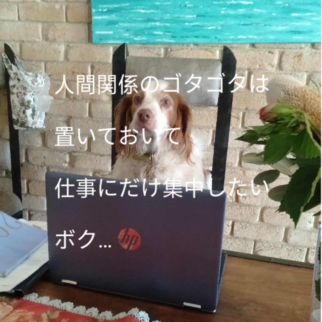 いつまで続くの？　辛い人間関係のお悩みに答えます 毎日顔を合わせるからこそ、本当に何とかしたいお悩みですよね！ イメージ2