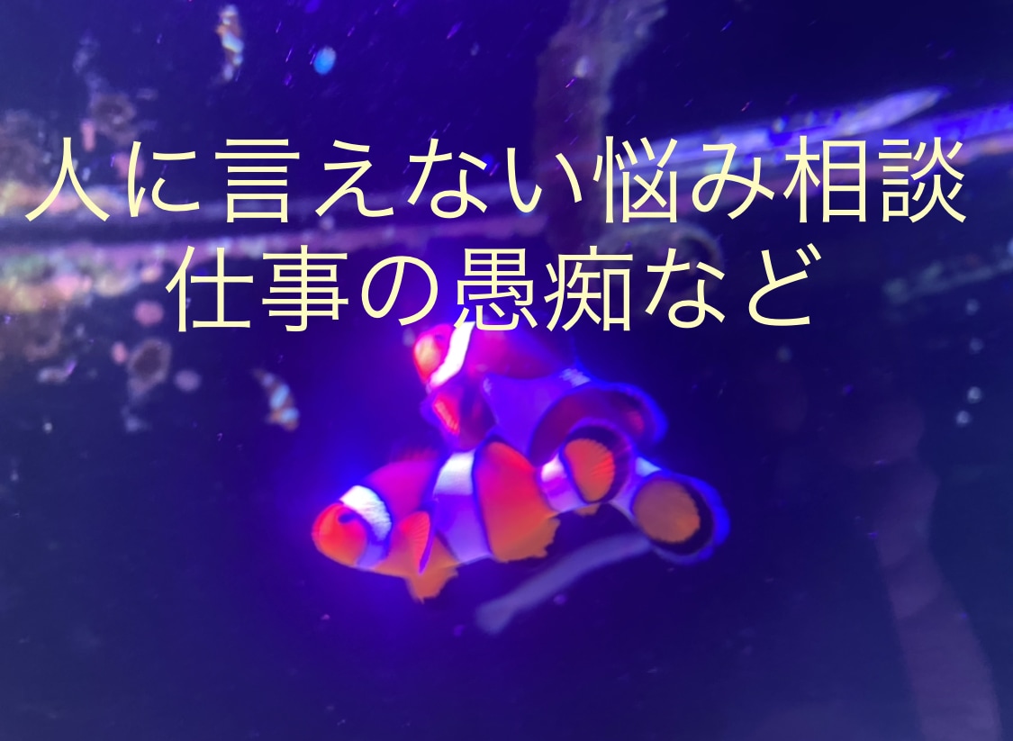 3日間だけあなたのお話し相手になります 悩み相談、愚痴、ポイント消費などにお使いください。 イメージ2