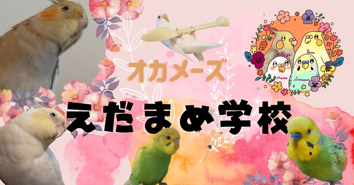 アイキャッチ５枚ご要望に合わせて作ります 低価格！You Tube、SNS！文字入れ、装飾お任せ下さい イメージ2