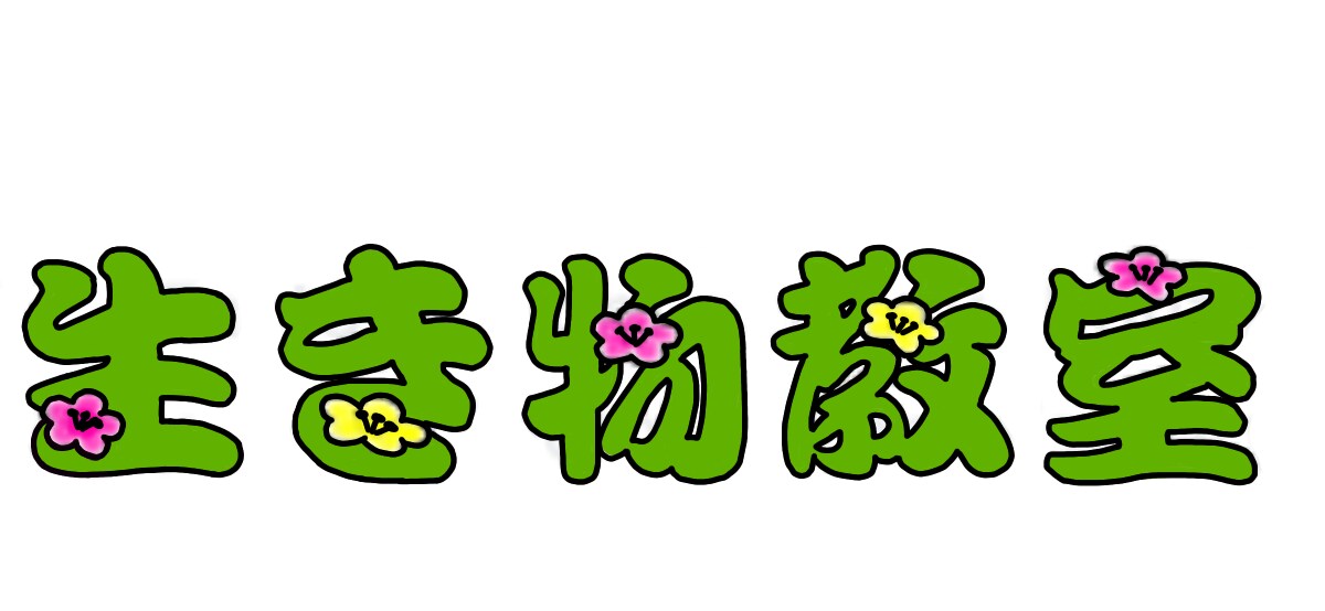 文字に特化したロゴデザインを行います デザインを探していませんか？（ロゴデザイン） イメージ3
