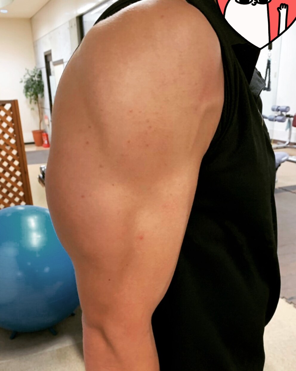 筋肉増量、ダイエットをレクチャー致します ただキツい事をするのではなく目標を達成できるように致します。 イメージ5