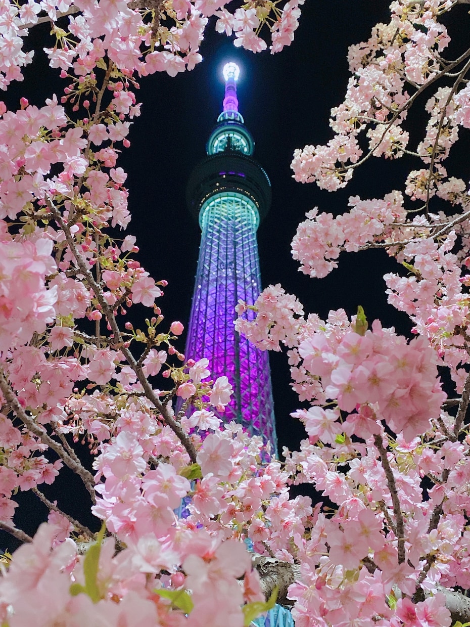 SNSに映える写真編集・加工致します せっかく撮ったけどなんだかイマイチ等 お任せください！ イメージ2