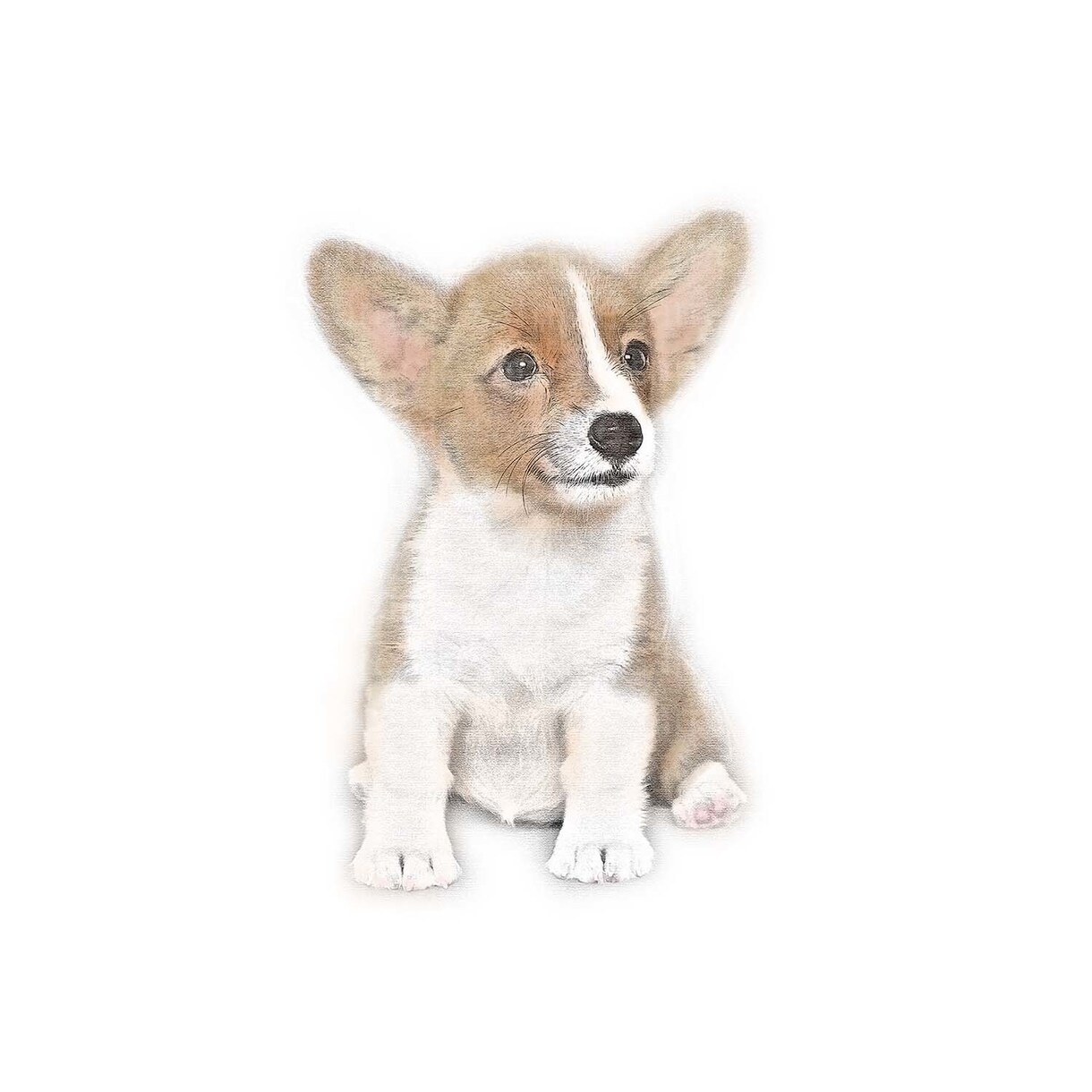 わんちゃんのスケッチ風イラスト!お作りします 写真とは一味違う 柔らかふんわり系イラストに イメージ3
