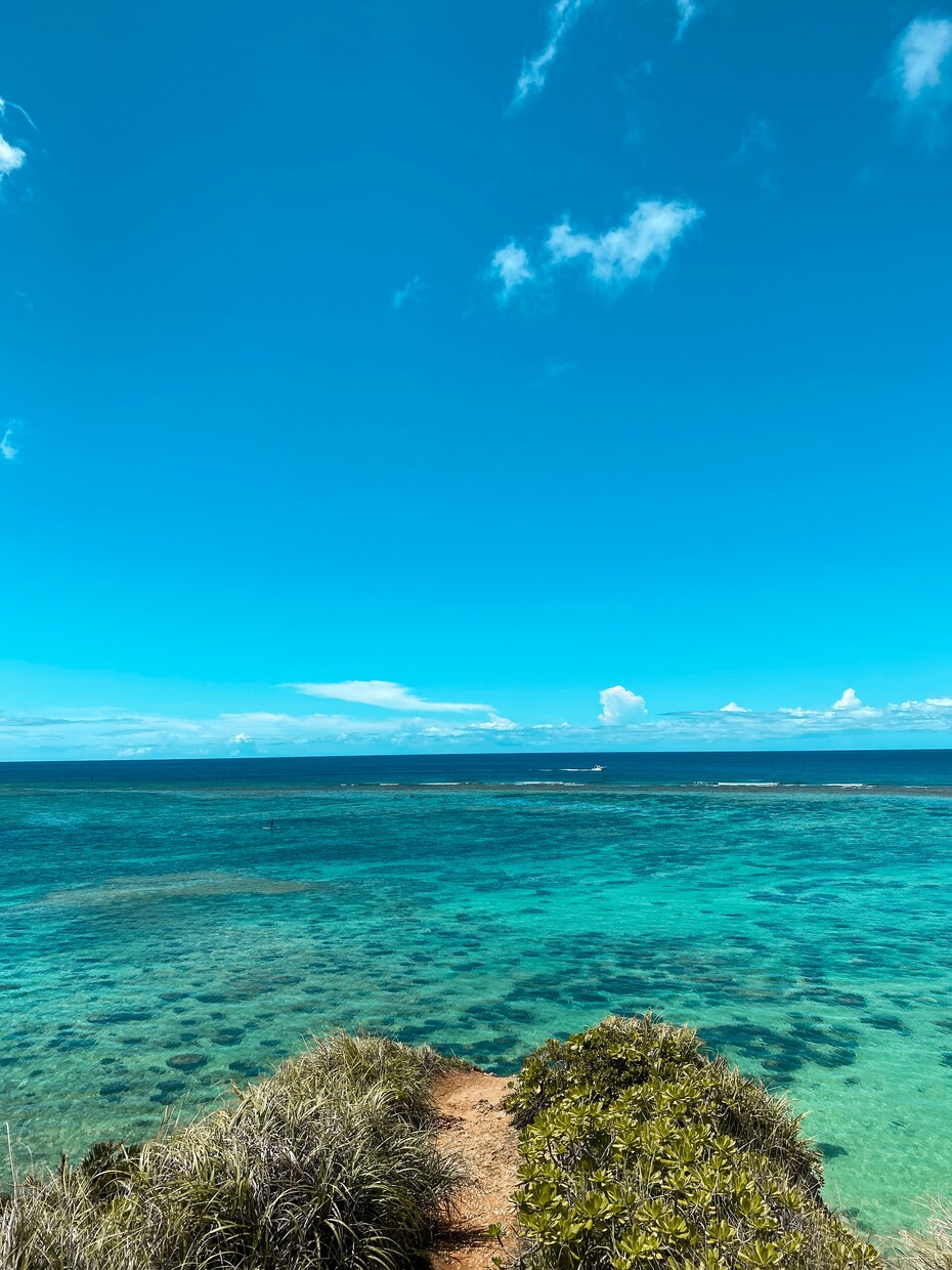 写真提供します 沖縄の綺麗な写真欲しい方ここにあります イメージ1
