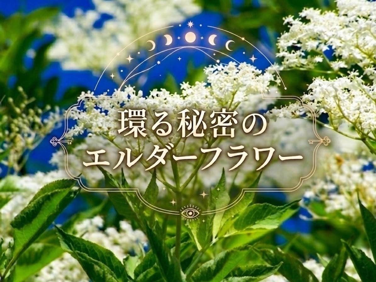 一問一答⚫︎至極の霊視　誰にも言えない秘密占います 魂を読み解く至極の霊視術で、お悩みの本質を解き明かします。 イメージ2