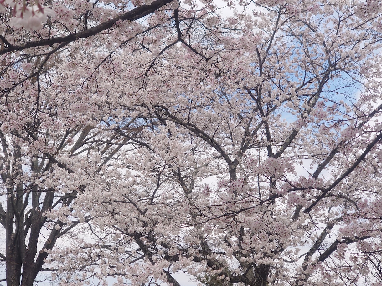 介護系の資格の勉強アドバイスをします 分からないこと不安なことを一緒に解決しましょう イメージ1