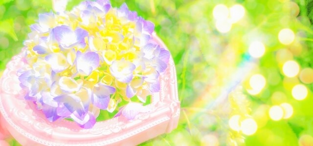自分の幸せ、つかみ取るお手伝いをします 7日間じっくりゆっくりお話します(*˘︶˘*) イメージ2