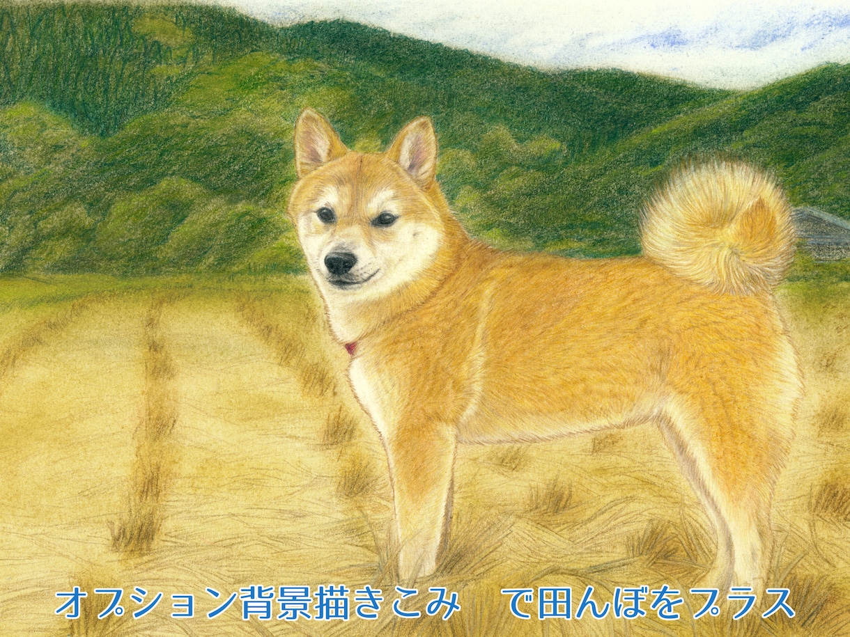 ほっこり優しいペットのイラストをお描きします 2Lサイズ｜リアルだけど優しめ色鉛筆画です イメージ6