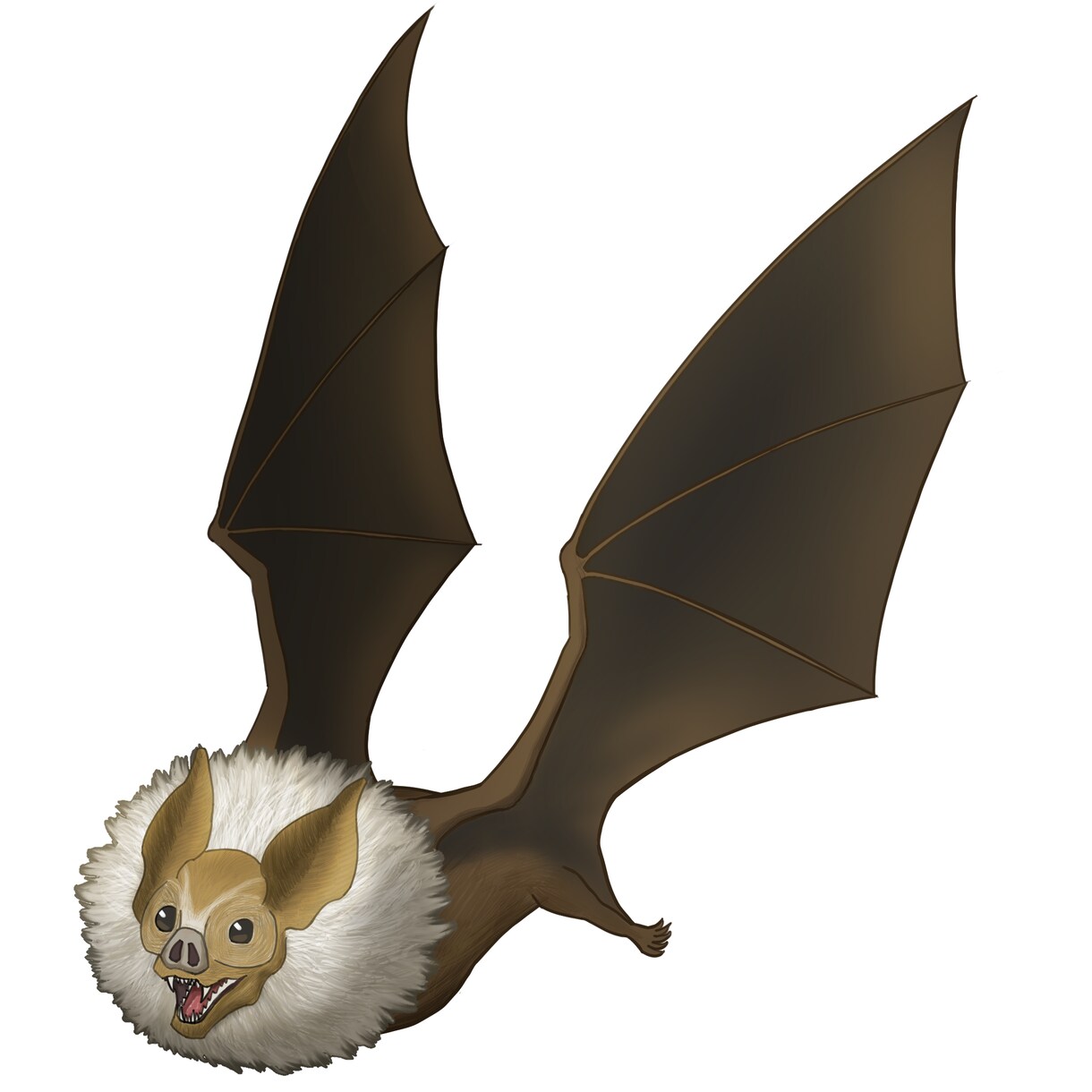 ゲーム用イラスト(リピーター様専用)全般描きます キャラクター、モンスター、表情差分、立ち絵、衣装差分など イメージ3